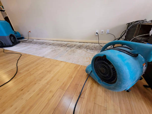 Professional Structural Drying technician working in Eaton, OH